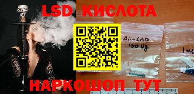 гашик Славянск-на-Кубани