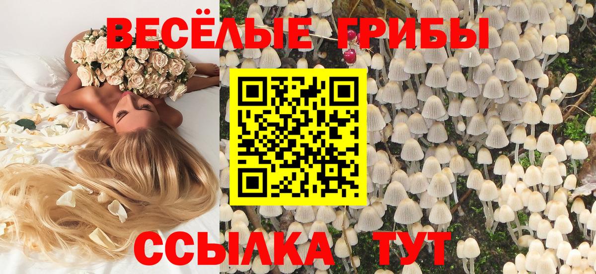 Галлюциногенные грибы Cubensis  Вход с VPN  Королёв 